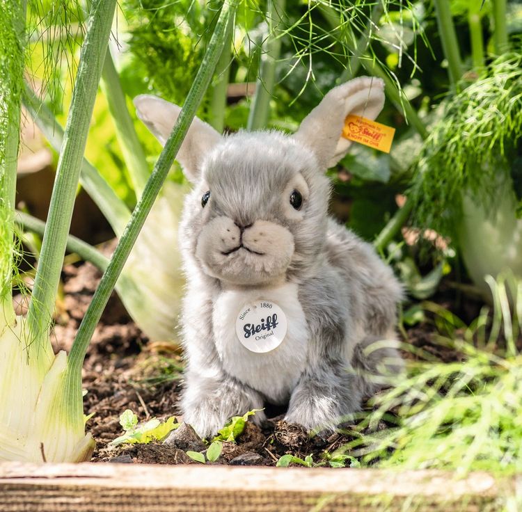 Produktbild: Steiff 067488 - Dormili Hase, sitzend, grau, Pl&uuml;sch, 21 cm