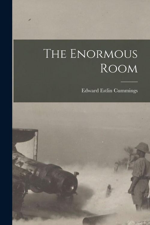 Produktbild: The Enormous Room