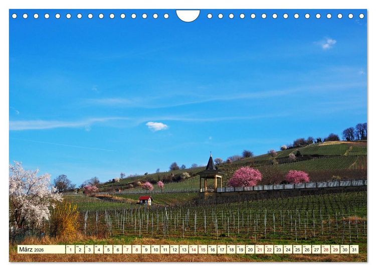 Produktbild: Heppenheim - Weinstadt unter der Starkenburg (Wandkalender 2026 DIN A4 quer), CALVENDO Monatskalender