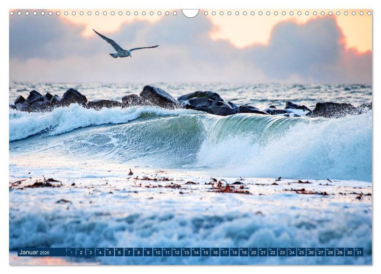 Produktbild: Helgoland - Das Leben auf der D&uuml;ne Helgolands (Wandkalender 2026 DIN A3 quer), CALVENDO Monatskalender