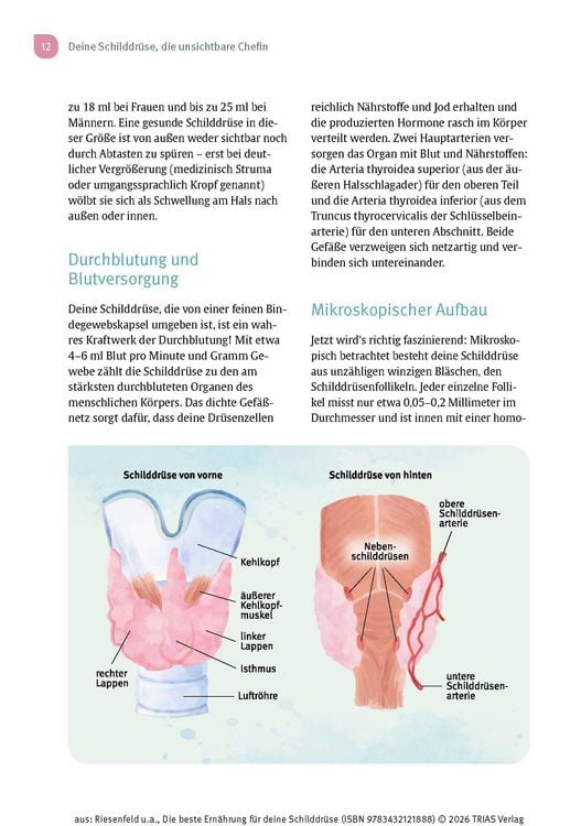 Produktbild: Die beste Ern&auml;hrung f&uuml;r deine Schilddr&uuml;se