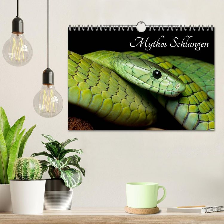 Produktbild: Mythos Schlangen (Wandkalender 2026 DIN A4 quer), CALVENDO Monatskalender