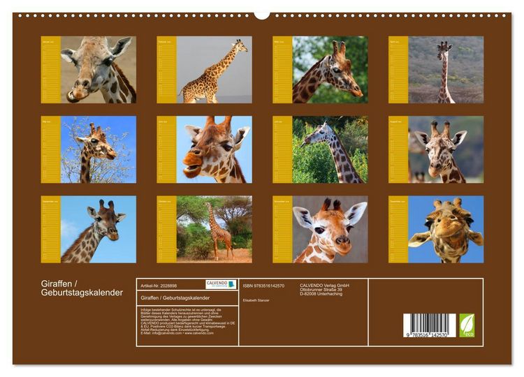 Produktbild: Giraffen / Geburtstagskalender (hochwertiger Premium Wandkalender 2026 DIN A2 quer), Kunstdruck in Hochglanz