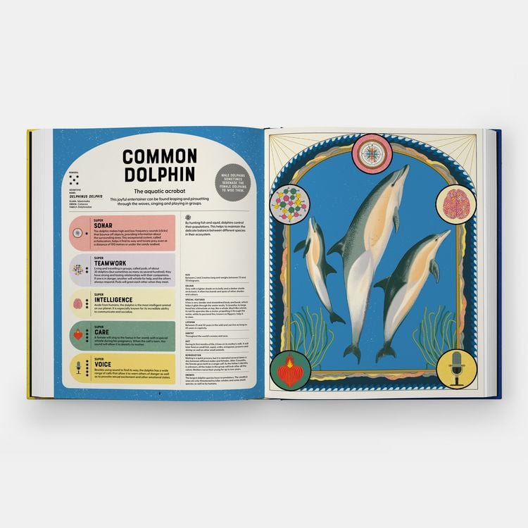 Produktbild: Superpowered Animals