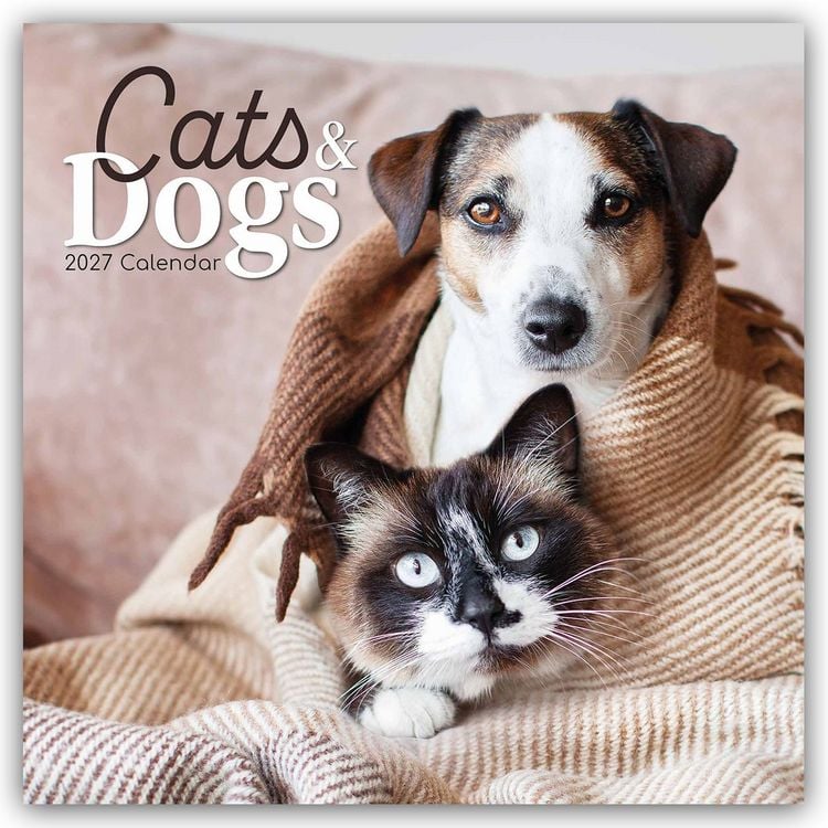 Produktbild: Cats and Dogs &ndash; Katzen und Hunde 2027 &ndash; 16-Monatskalender