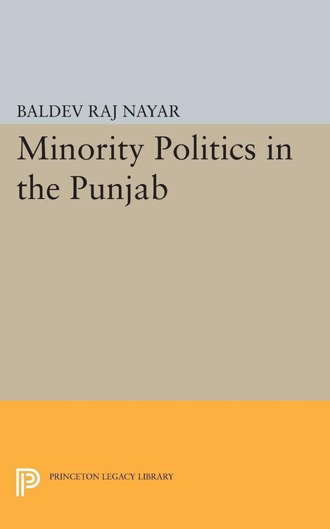 Produktbild: Minority Politics in the Punjab