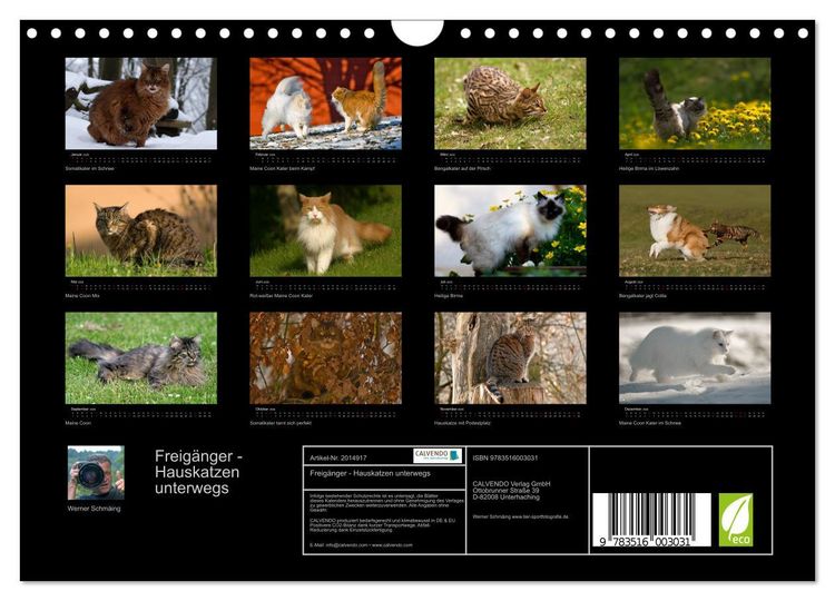 Produktbild: Freig&auml;nger - Hauskatzen unterwegs (Wandkalender 2026 DIN A4 quer), CALVENDO Monatskalender