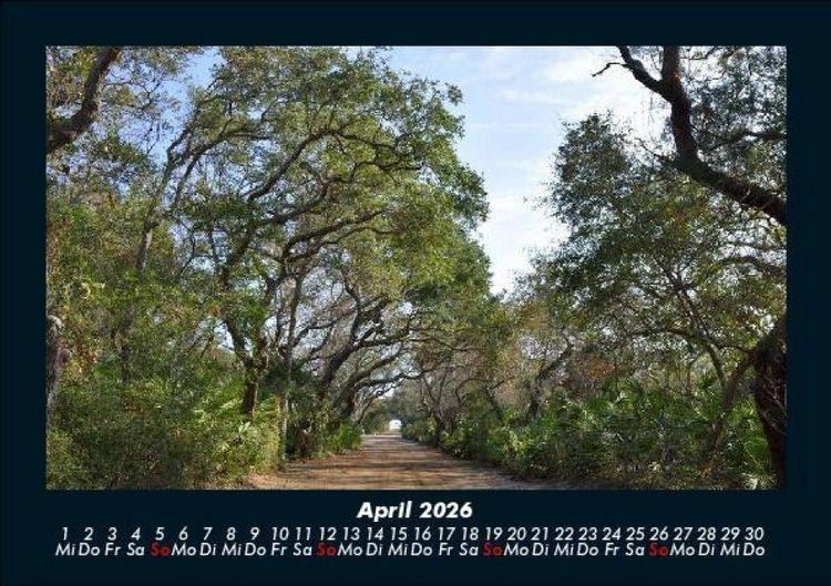 Produktbild: B&auml;ume 2026 Fotokalender DIN A5