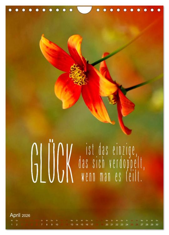 Produktbild: ICH W&Uuml;NSCHE DIR GL&Uuml;CK - 12 Monate mit inspirierenden Gl&uuml;ckszitaten (Wandkalender 2026 DIN A4 hoch), CALVENDO Monatskalender