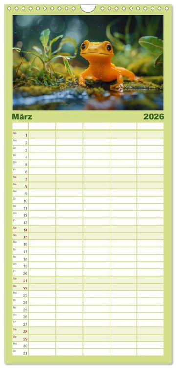 Produktbild: Familienplaner 2026 - Kleine Echsen haben Spass mit 5 Spalten (Wandkalender, 21 x 45 cm) CALVENDO