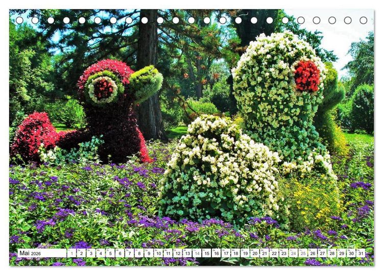 Produktbild: Am Bodenseeufer (Tischkalender 2026 DIN A5 quer), CALVENDO Monatskalender