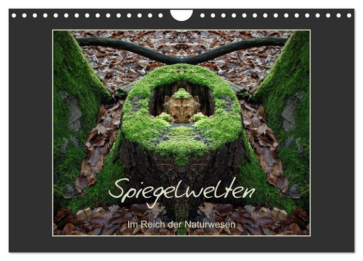Produktbild: Spiegelwelten - Im Reich der Naturwesen (Wandkalender 2026 DIN A4 quer), CALVENDO Monatskalender