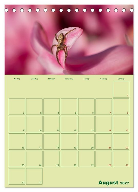 Produktbild: Die Welt der Insekten (Tischkalender 2027 DIN A5 hoch), CALVENDO Monatskalender