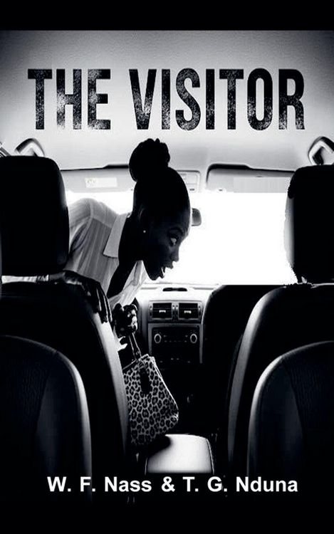 Produktbild: The Visitor