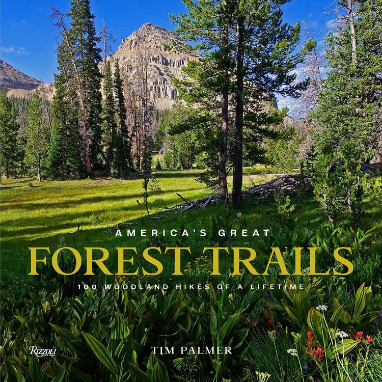 Produktbild: America's Great Forest Trails