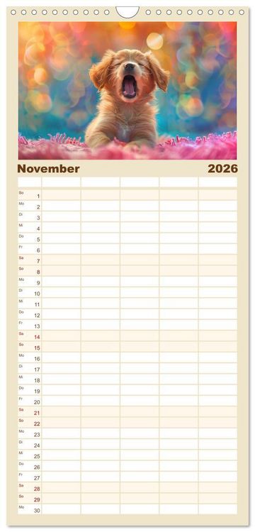 Produktbild: Familienplaner 2026 - Ansteckend m&uuml;de! mit 5 Spalten (Wandkalender, 21 x 45 cm) CALVENDO
