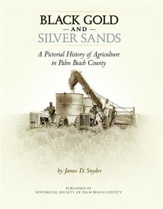 Produktbild: Black Gold and Silver Sands: