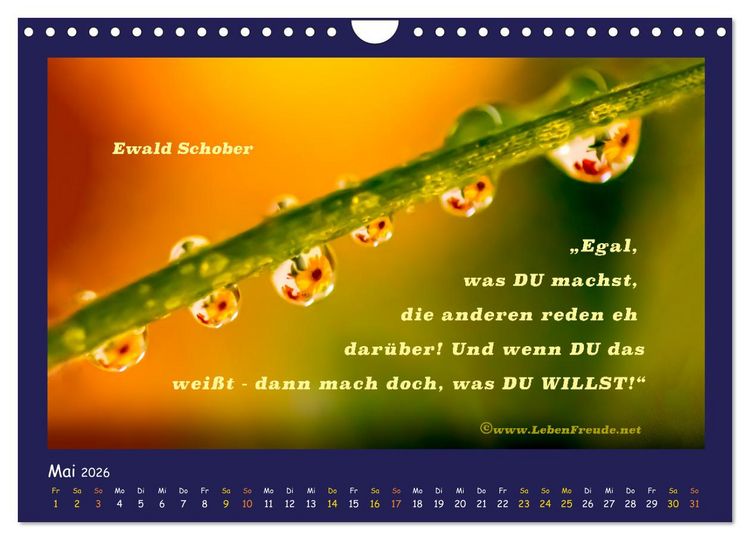 Produktbild: Bewusst leben und gl&uuml;cklich sein (Wandkalender 2026 DIN A4 quer), CALVENDO Monatskalender
