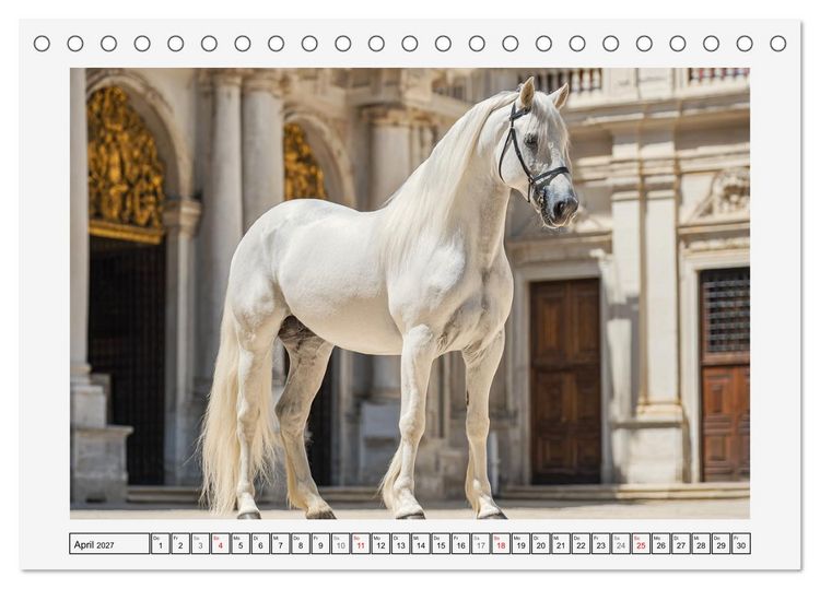 Produktbild: Spanische Eleganz. Edle Schimmel auf dem Gest&uuml;t (Tischkalender 2027 DIN A5 quer), CALVENDO Monatskalender