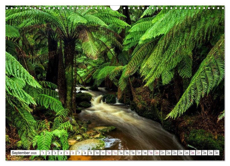 Produktbild: Tasmania Rainforest, waterfalls and rocky shores (Wall Calendar 2026 DIN A3 landscape), CALVENDO 12 Month Wall Calendar