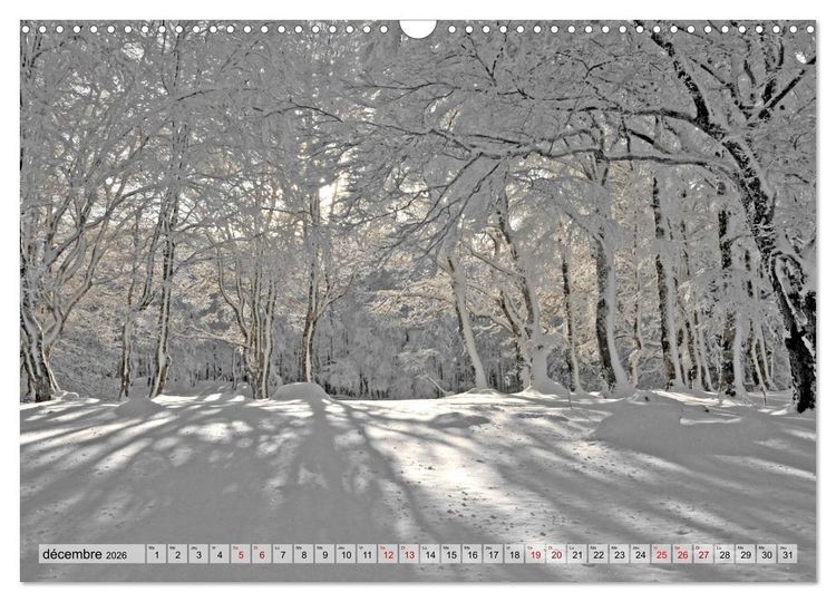 Produktbild: Au c&oelig;ur de la for&ecirc;t (Calendrier mural 2026 DIN A3 vertical), CALVENDO calendrier mensuel