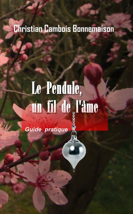 Produktbild: Le pendule, un fil de l'&acirc;me