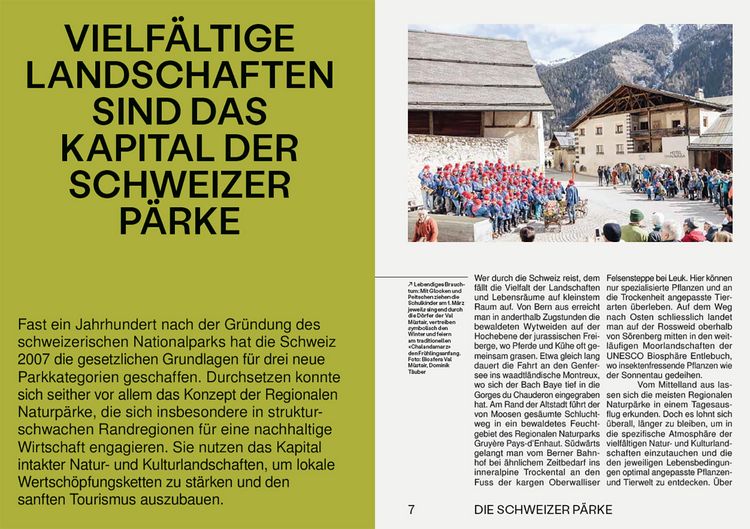 Produktbild: Die Schweizer P&auml;rke