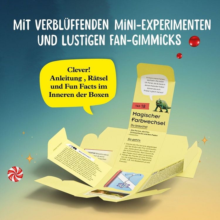 Produktbild: Adventskalender - Die Schule der magischen Tiere - der Film