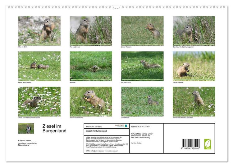 Produktbild: Ziesel im Burgenland (hochwertiger Premium Wandkalender 2026 DIN A2 quer), Kunstdruck in Hochglanz