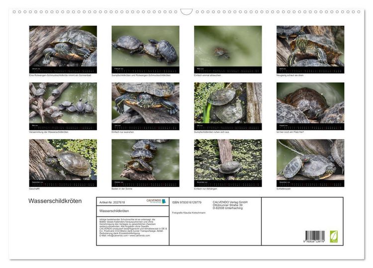 Produktbild: Wasserschildkr&ouml;ten (Wandkalender 2026 DIN A2 quer), CALVENDO Monatskalender
