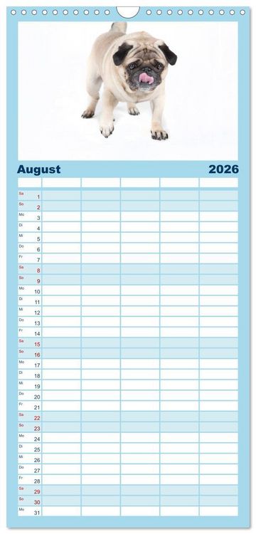 Produktbild: Familienplaner 2026 - Mops - unwiderstehlich und charmant mit 5 Spalten (Wandkalender, 21 x 45 cm) CALVENDO