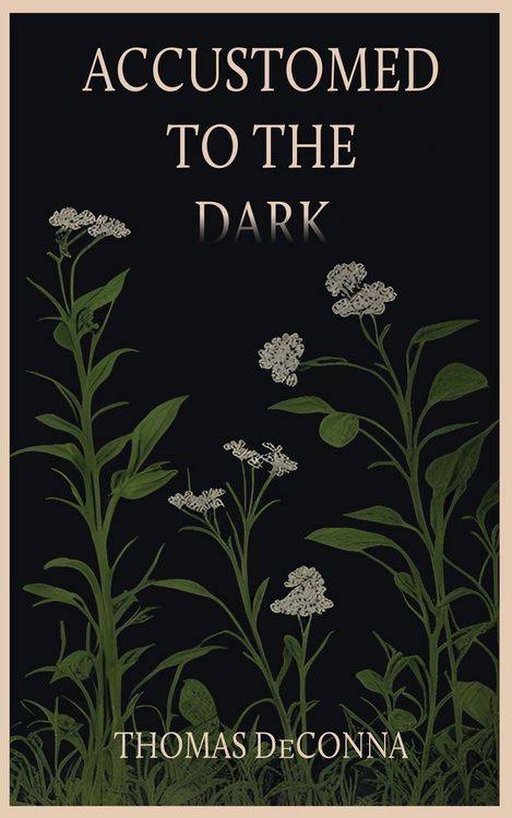 Produktbild: Accustomed to the Dark