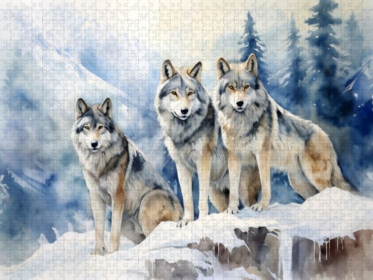 Produktbild: CALVENDO Puzzle Ein Motiv aus dem Kalender "Die Magie der Bergwelt" | 1000 Teile Lege-Gr&ouml;&szlig;e 64x48cm Foto-Puzzle f&uuml;r gl&uuml;ckliche Stunden