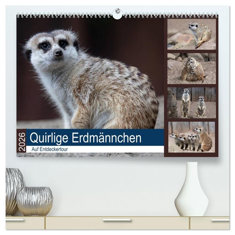 Produktbild: Quirlige Erdm&auml;nnchen (hochwertiger Premium Wandkalender 2026 DIN A2 quer), Kunstdruck in Hochglanz