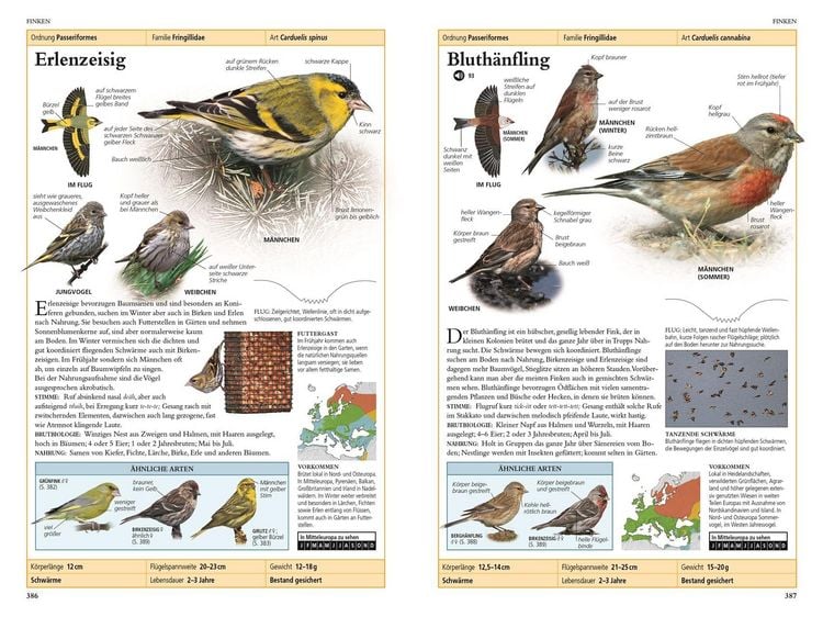 Produktbild: V&ouml;gel in Europa