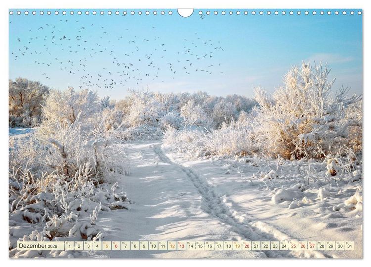 Produktbild: Traumwege entdecken (Wandkalender 2026 DIN A3 quer), CALVENDO Monatskalender