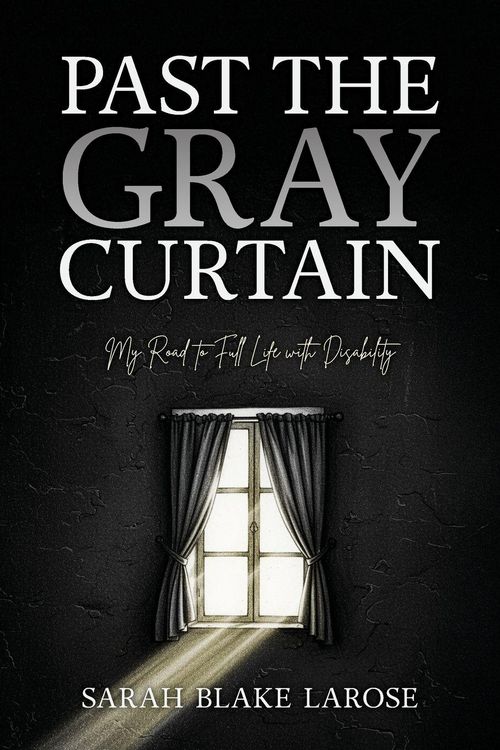 Produktbild: Past the Gray Curtain