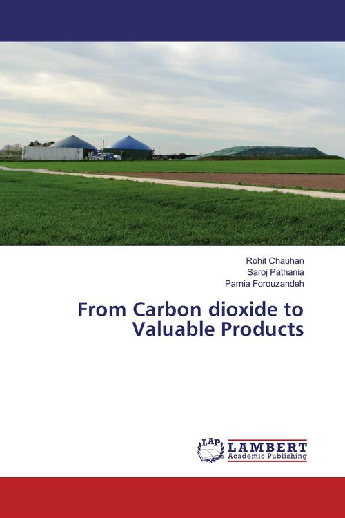 Produktbild: From Carbon dioxide to Valuable Products