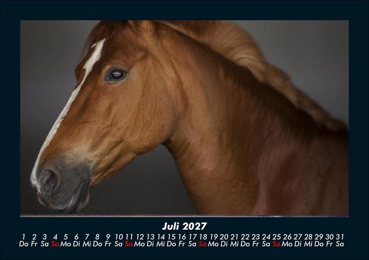 Produktbild: Die Welt der Pferde 2027 Fotokalender DIN A5