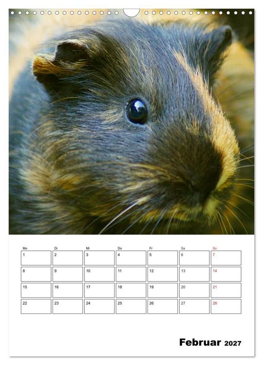 Produktbild: Meerschweinchen Terminplaner (Wandkalender 2027 DIN A3 hoch), CALVENDO Monatskalender