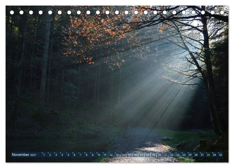 Produktbild: Spaziergang im Wald (Tischkalender 2027 DIN A5 quer), CALVENDO Monatskalender