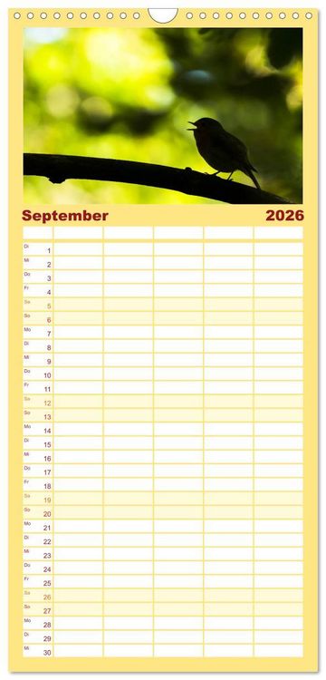 Produktbild: Familienplaner 2026 - Geliebtes Rotkehlchen mit 5 Spalten (Wandkalender, 21 x 45 cm) CALVENDO