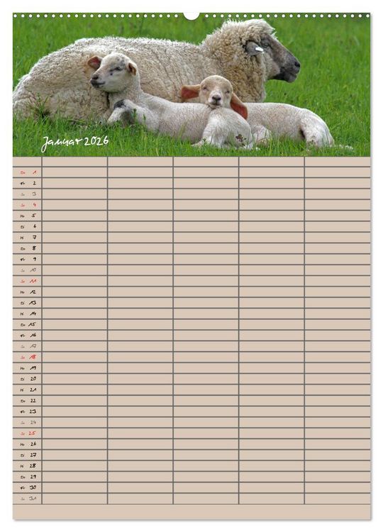 Produktbild: Der bel&auml;mmerte Familienplaner (Wandkalender 2026 DIN A2 hoch), CALVENDO Monatskalender