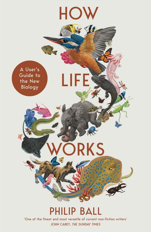 Produktbild: Ball, P: How Life Works