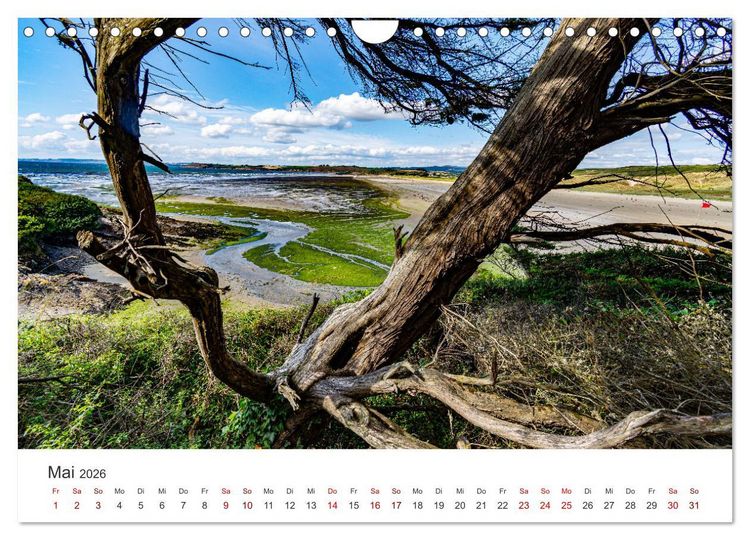 Produktbild: Die Bretagne - Traumpfade (Wandkalender 2026 DIN A4 quer), CALVENDO Monatskalender