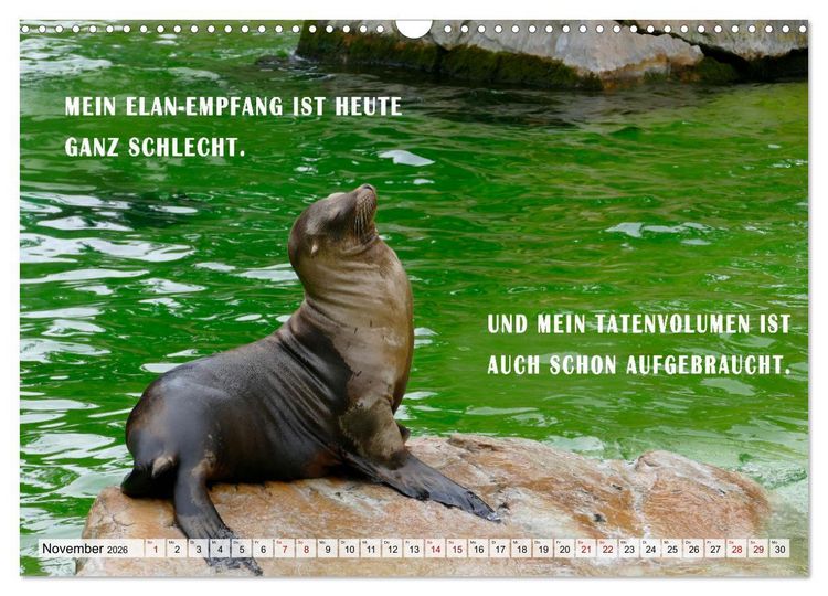 Produktbild: M&uuml;de, faul und arbeitsscheu (Wandkalender 2026 DIN A3 quer), CALVENDO Monatskalender