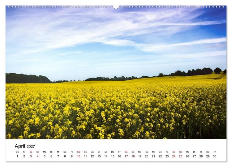Produktbild: Schleswig-Holstein in 365 Farben (Wandkalender 2027 DIN A2 quer), CALVENDO Monatskalender