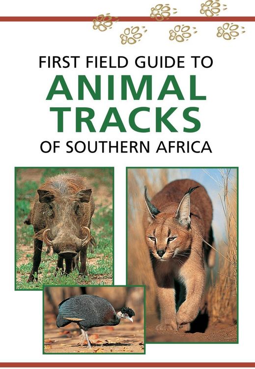 Produktbild: Sasol First Field Guide to Animal Tracks of Southern Africa