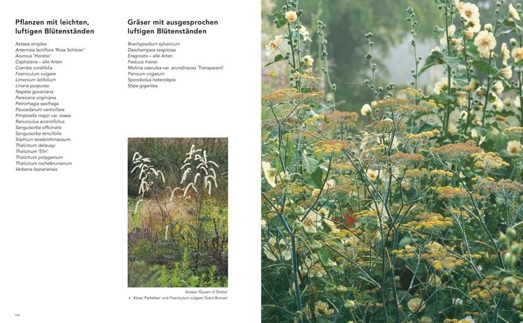 Produktbild: G&auml;rten inspiriert von der Natur