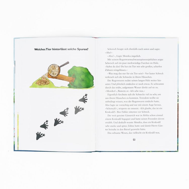 Produktbild: Die kleine Schnecke Monika H&auml;uschen: Warum bauen Biber Burgen?